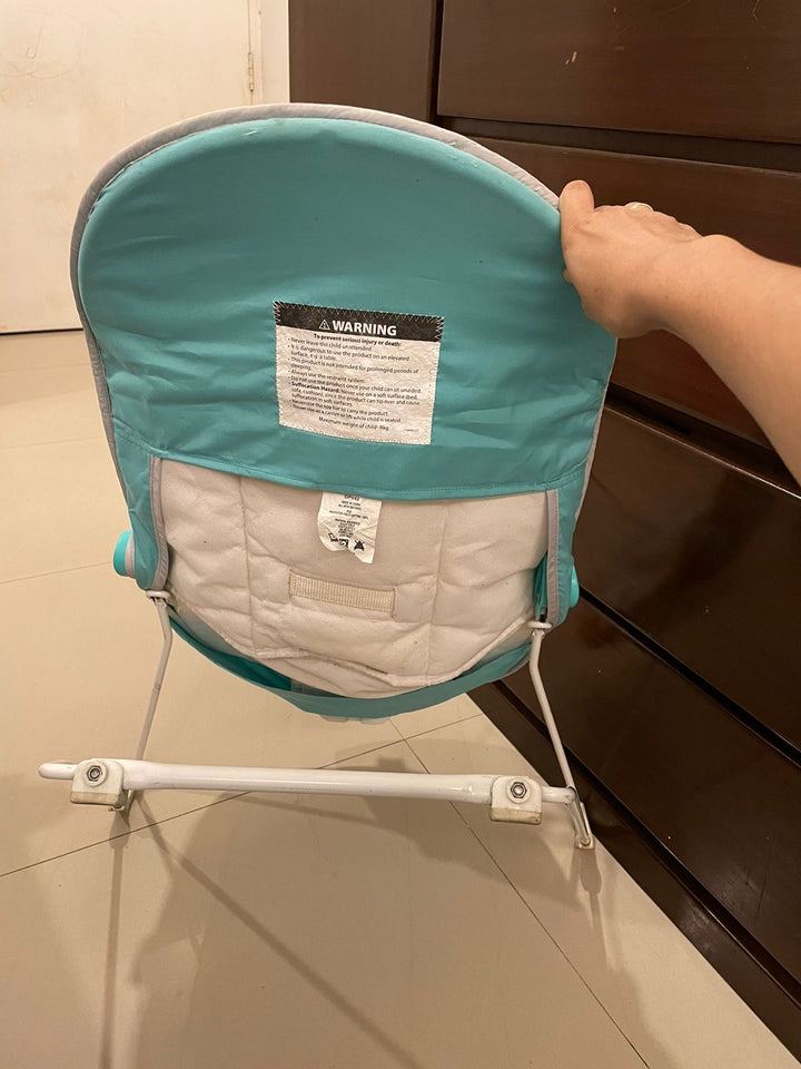 Fisher-Price Baby Bouncer