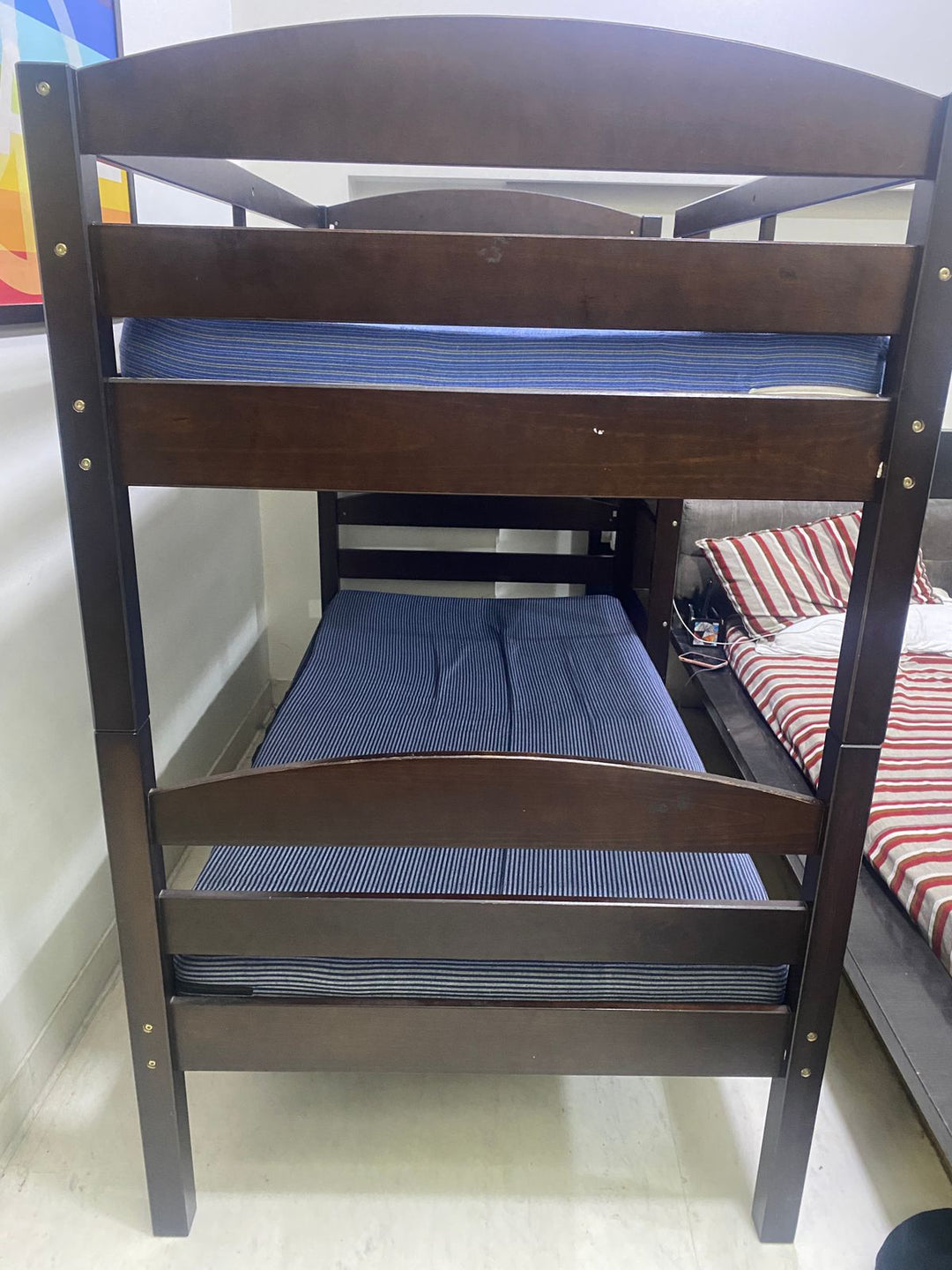 Solimo Spectra Solid Pinewood Bunk Bed
