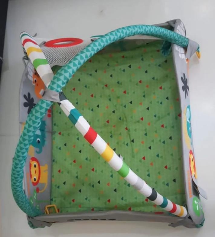 Fisher-price playgym