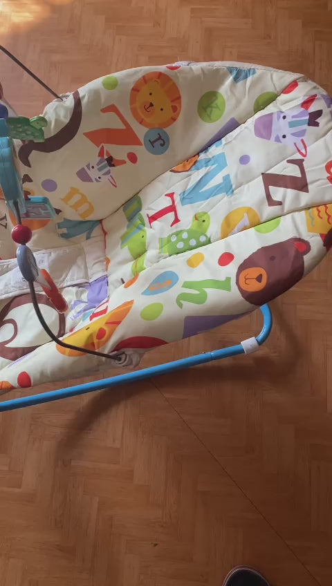 Fisher-Price Deluxe Infant to Toddler Rocker