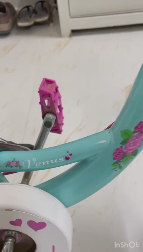 Frog Venus Bike